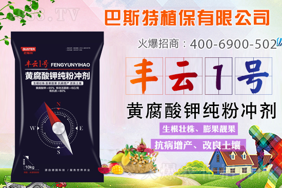 土壤板結(jié)/鹽漬化/酸化難解決？就用黃腐酸鉀純粉劑！