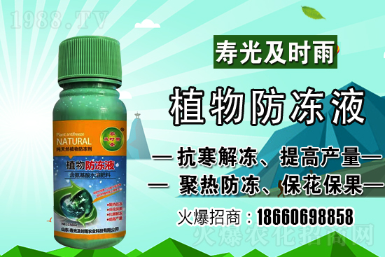今日小麥價(jià)格上漲！到底會(huì)漲到多少錢(qián)一斤？