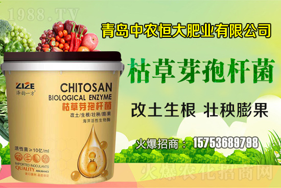 �ݲ�ѿ�ߗU������ǡ����С��᣿�ݲ�ѿ�ߗU�����w�������˽����