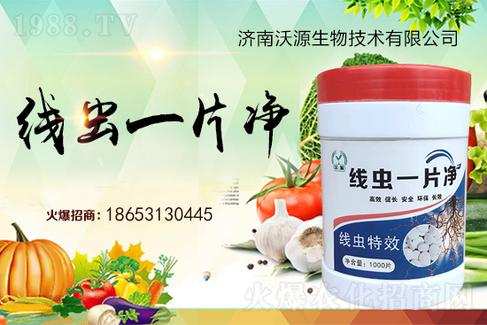 ���Y(ji��)���x�y���������ξ��x�����xһƬ����