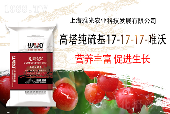 復(fù)合肥市場價格,10月30日復(fù)合肥價格行情