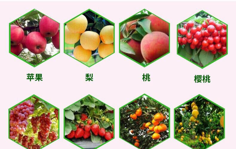 �~������-�n�-����(l��)��_10