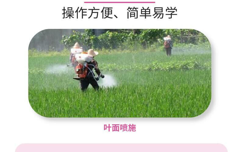 �~������-�n�-����(l��)��_12