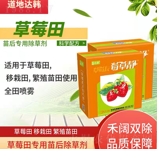 草莓育苗期間使用哪種除草劑？草莓除草劑使用方法！