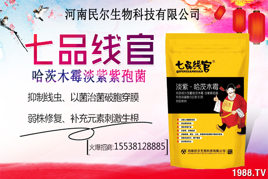 雪桃苗價格多少錢一株？雪桃種植前景怎樣？