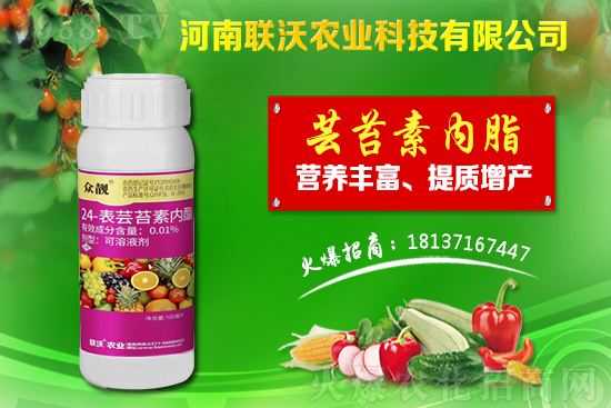 �ٲ��m��ʲô�ط��Nֲ���ٲ��Nֲǰ�����Nֲ���g��