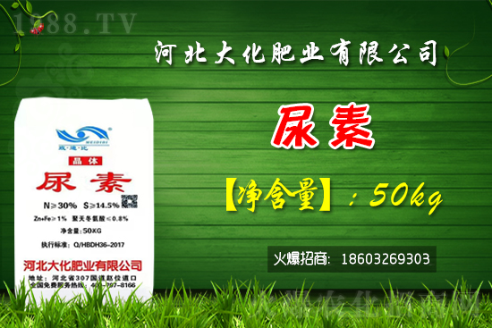 �t��������������Xһ�����Nֲǰ����Σ�