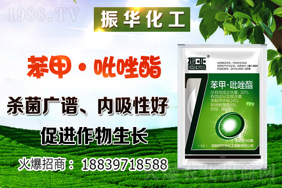 柴胡該怎么種植？柴胡種植方法及環(huán)境要求！