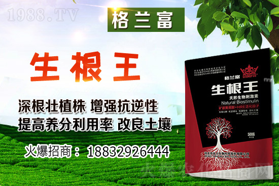 2021年3月1日東北大豆價(jià)格高位穩(wěn)定