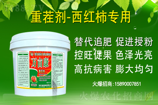 為什么果樹(shù)促梢建議用硝酸銨鈣，不建議用尿素？