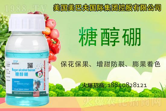 今日稻谷多少錢一斤？2021年稻谷價(jià)格是否還會(huì)漲？
