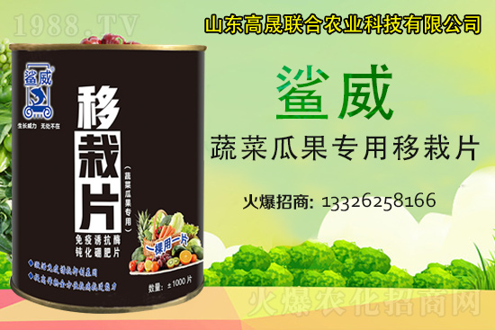 �����������������L������...���߲˶�ֲ�ؿ�