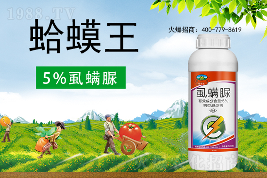 ʭ����������ô�ӣ����x���c(di��n)��ʲô��