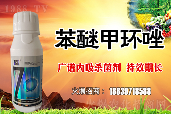 倒春寒風險加大，如何做好冬小麥防護工作？