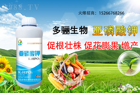 3月份適合種植什么藥材？哪些藥材種植前景好又賺錢