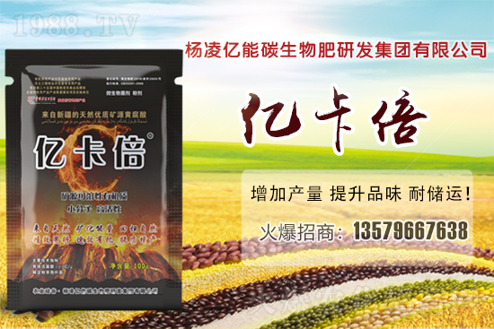 ���}�ۮa(ch��n)�����҇���Щʡ�������}������Щ��ҊƷ�N��