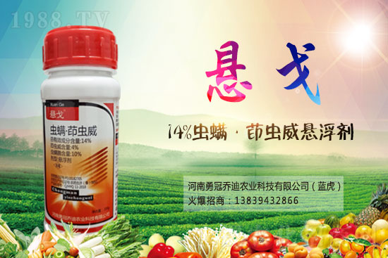 2021.4.28���x��ԭˎ�r��