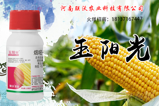 ���׳��ݞ�ʲô�x����������������݄���δ���