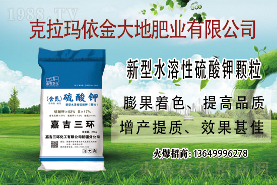 2021.6.2���ڇ���(n��i)⛷ʃr(ji��)���߄ݷ���