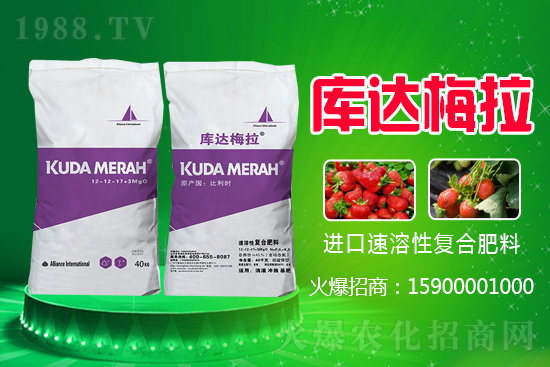 原料上漲,2021年6月2日復(fù)合肥漲勢如何?
