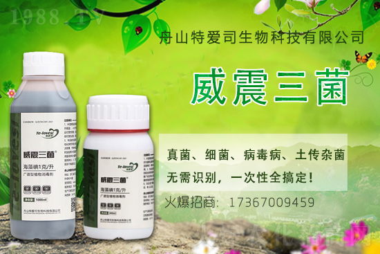 2021��7��19��ϩ�������������r(ji��)������