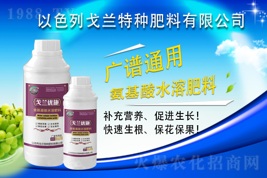 以色列戈蘭再續(xù)1988.TV，共謀合作新發(fā)展！