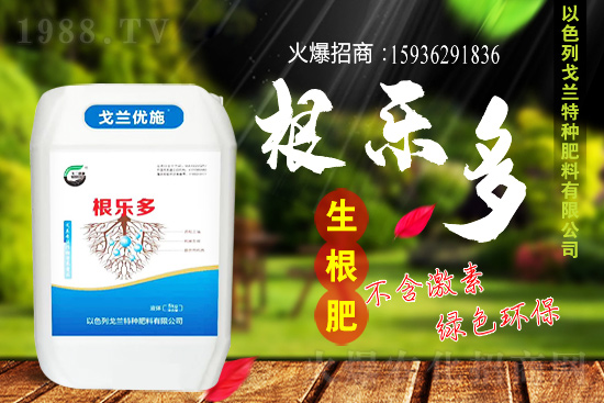 以色列戈蘭再續(xù)1988.TV，共謀合作新發(fā)展！