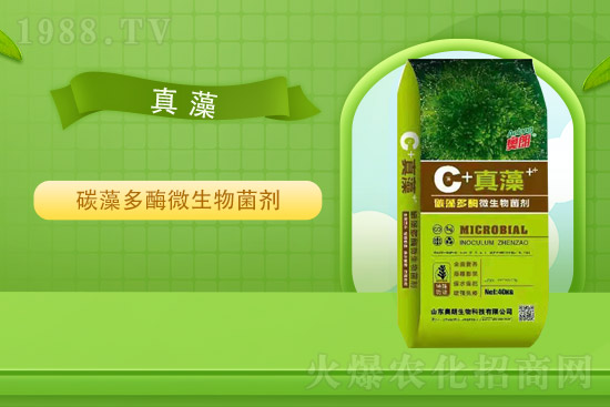 ɽ�|�W�������ٺ�1988.TV���y�ִ����������E��