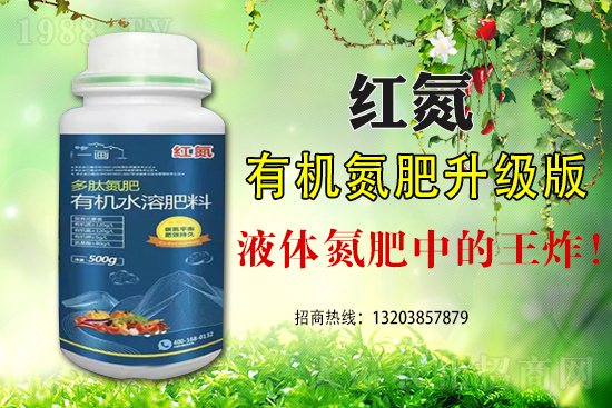 玉米為什么會出現(xiàn)早衰這種現(xiàn)象？如何避免玉米早衰？