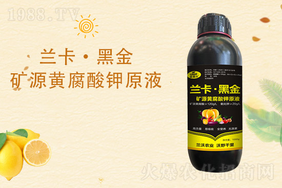 柑橘黃葉是什么原因造成的？柑橘黃葉的解決措施