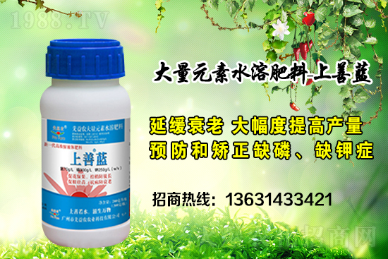 廣州市先益農(nóng)再度攜手1988.TV，攜手共創(chuàng)新戰(zhàn)績(jī)！