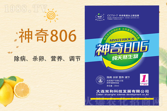 合作再升級(jí)！大連雙和科技再簽1988.TV，共創(chuàng)新輝煌！