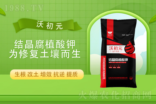 2022��2��24�Շ���(n��i)���؃r������һ�[