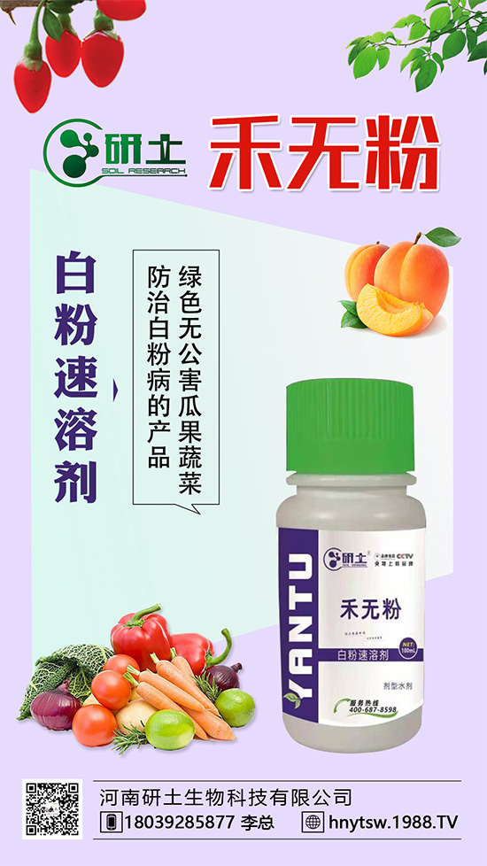 ���Ѱ׷۲��������l(f��)���������ֱ�׷۲���