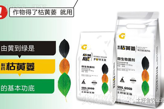 枯黃萎、立枯等病害怎樣滅殺？用它就夠了！