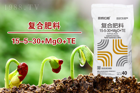 �ͺϷ�����ô�x���@���÷ʎ���ʡ�X��