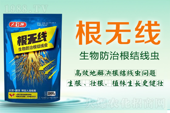 ���Y(ji��)���x�������ך��^�y���@�ӷ���Ч���õ��@����