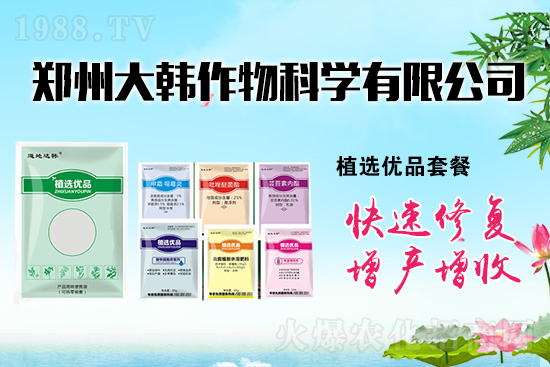 作物藥害肥害頻發(fā)怎么辦？發(fā)生藥害肥害如何補(bǔ)救？