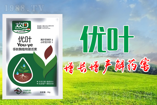 �~��ʵķN�(l��i)��ʹ��ע�����(xi��ng)