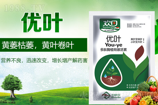 �~��ʵķN�(l��i)��ʹ��ע�����(xi��ng)