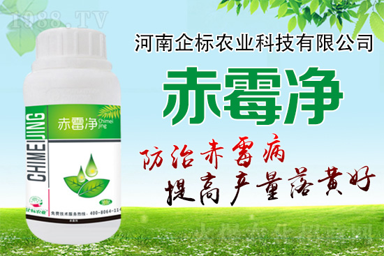 緊急提醒：未來(lái)十天是小麥赤霉病防治關(guān)鍵期！務(wù)必抓住！