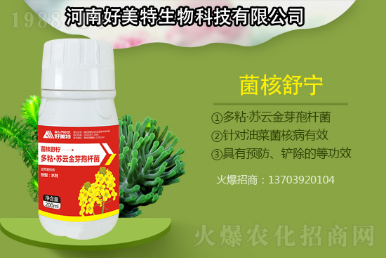 ���Ϻ���������Ƽ����޹�˾21