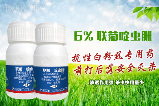 ���԰׷�ʭ�y�����y�����@����ˎ�x���p�������x��