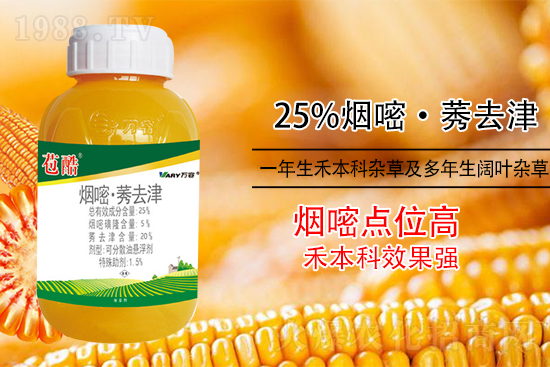 ���׳������e���@�׷N���݄���