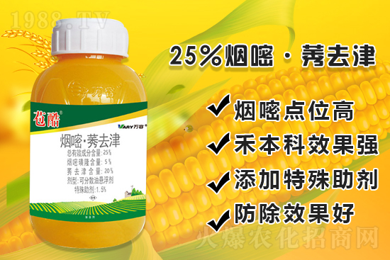 ���׳������e���@�׷N���݄���