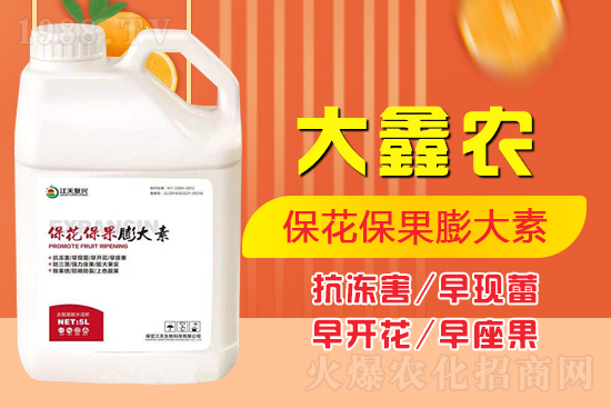 夏季保果膨大少不了，如何保果膨大？