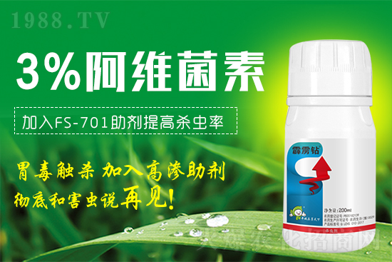 鉆心蟲、蚜蟲、紅蜘蛛、線蟲治不??？就用這個新配方