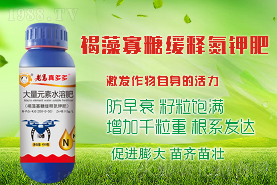 大蒜高產(chǎn)收益高，蒜頭膨大措施有哪些？如何施肥