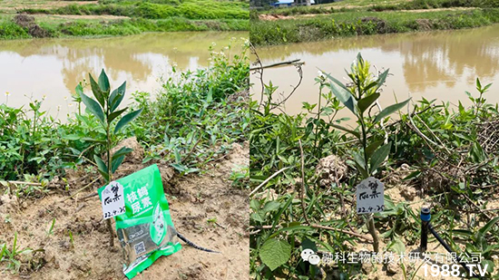 ���M(j��n)���g���^���������ٮa(ch��n)�I(y��)