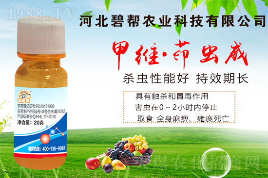     �ܶ����ڷNֲ�߲˕r(sh��)��(j��ng)���ܵ������x��Σ���������x��ʮ�ֻ����߲��ϵ���Ҫ���x��Σ���߷���5����Ѯ-6����Ѯ�������x��(hu��)��(d��o)���߲˵�Ʒ�|(zh��)�ͮa(ch��n)����(y��n)�ؽ��͡�